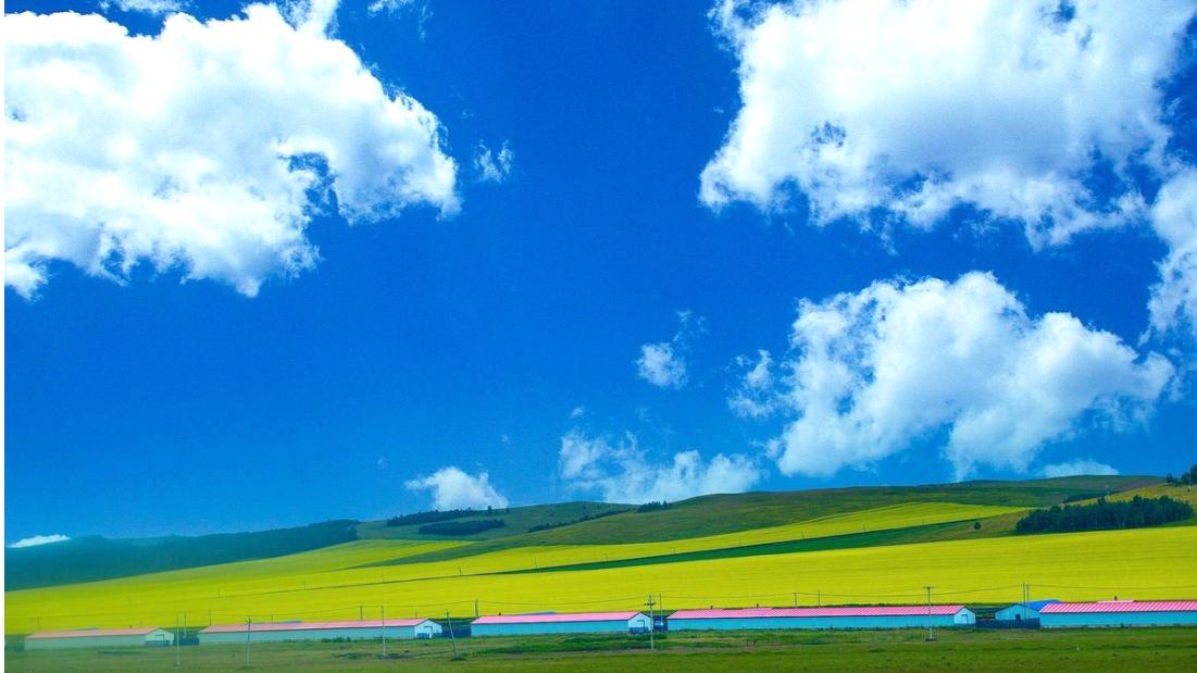游轮|去草原玩，你知道什么呼伦贝尔大草原什么时间最吸引人，最适合旅行吗？