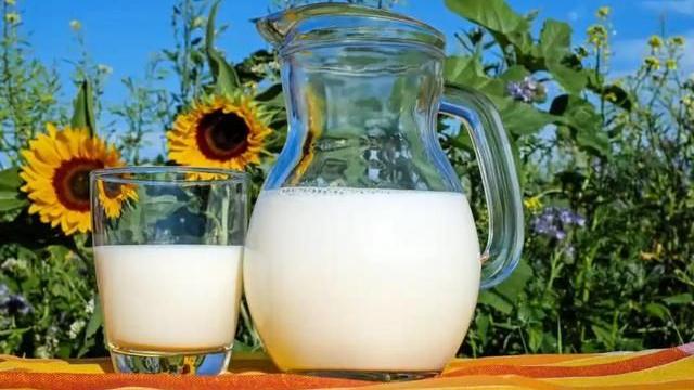 新疆维吾尔自治区|全国哪的牛奶最好喝？经过筛选，这4个地方比较出名，有你家乡吗