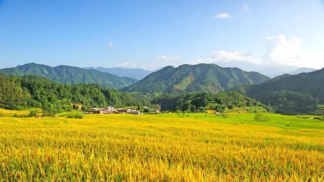 管得过死是中国农民不能富裕的重要原因