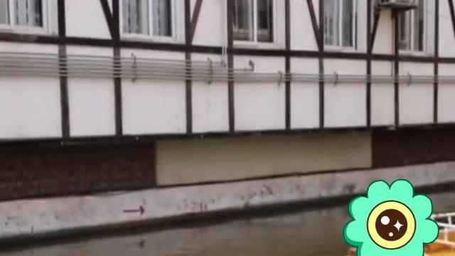 饵料|重庆一名资深垂钓爱好者住酒店2楼，竟从窗外钓起鱼来