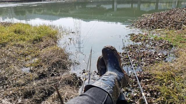 广东省|“撞蛇”高发季来临！广东垂钓者遭遇“银环蛇”，该如何应对？