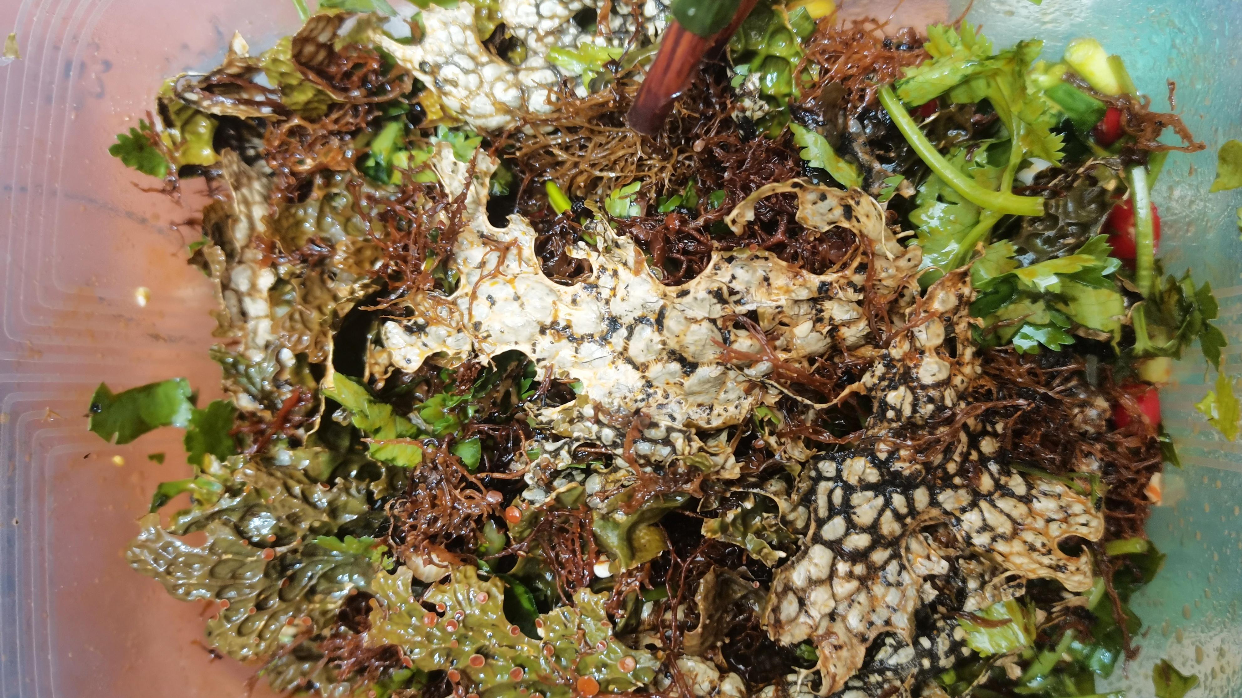 豆腐|云南当地人都喜欢的5道菜，外地人眼中的“怪菜”，你吃过几样？