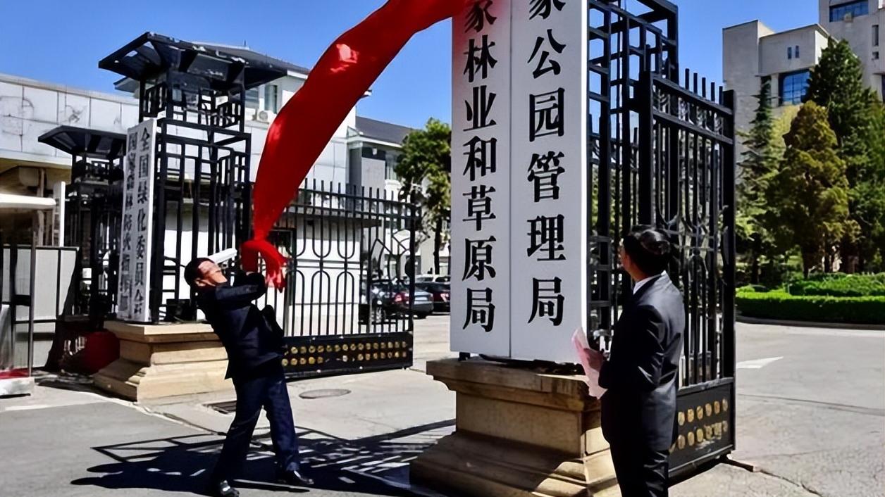 |应届生迎来上岸机会，国家林业和草原局公开招聘，预计录用311人