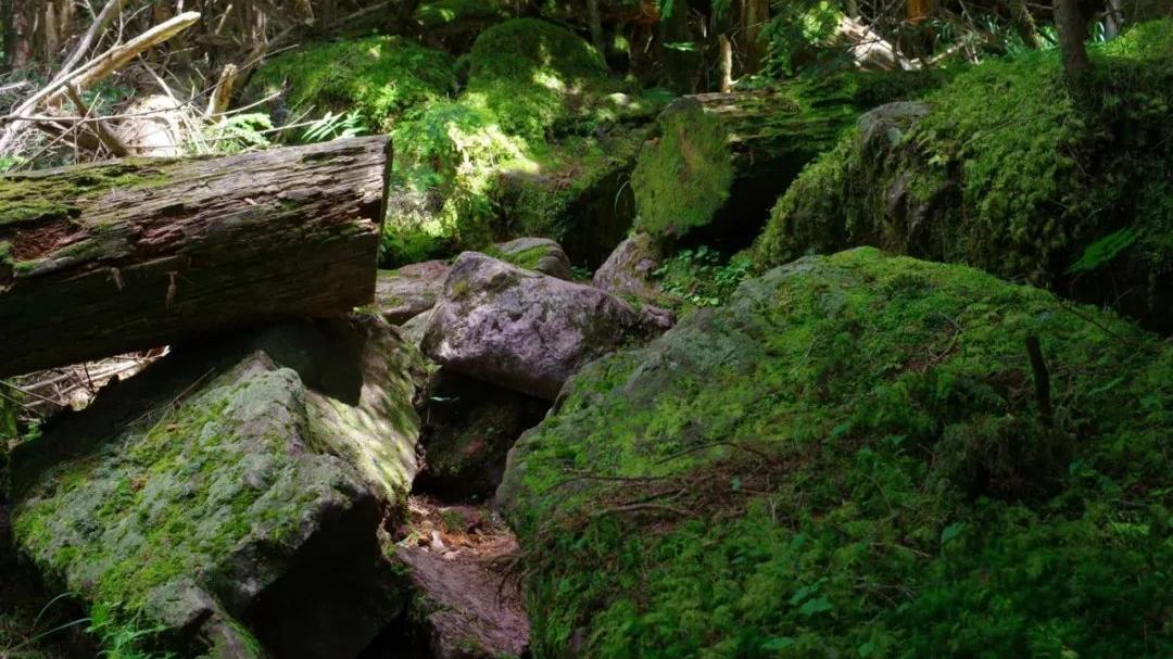 三星|三星白电黑电双双减产, 通胀或成家电产业新拦路虎