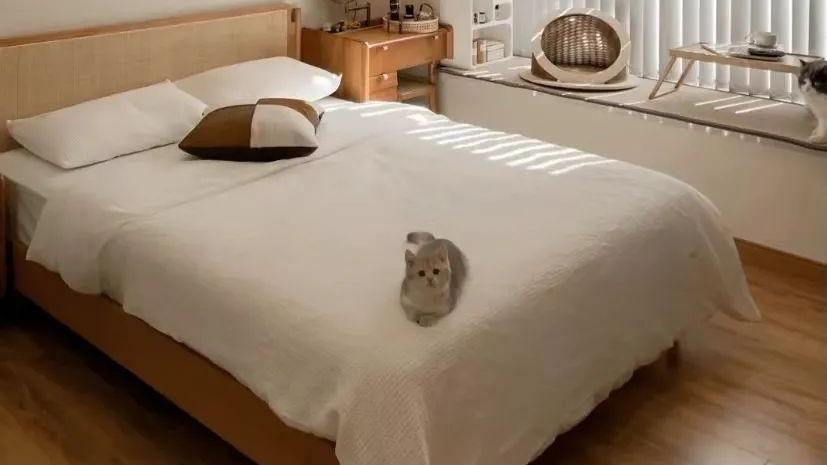 卧室没必要豪装，学会这“6不装”，不仅避坑还实用！