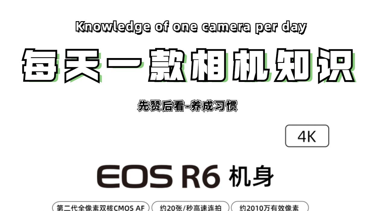 相机|每天一款相机知识——EOS R6