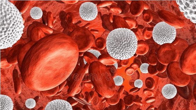 高血脂|肌酐高的肾友请注意，4个问题比尿毒症更严重，趁早解决