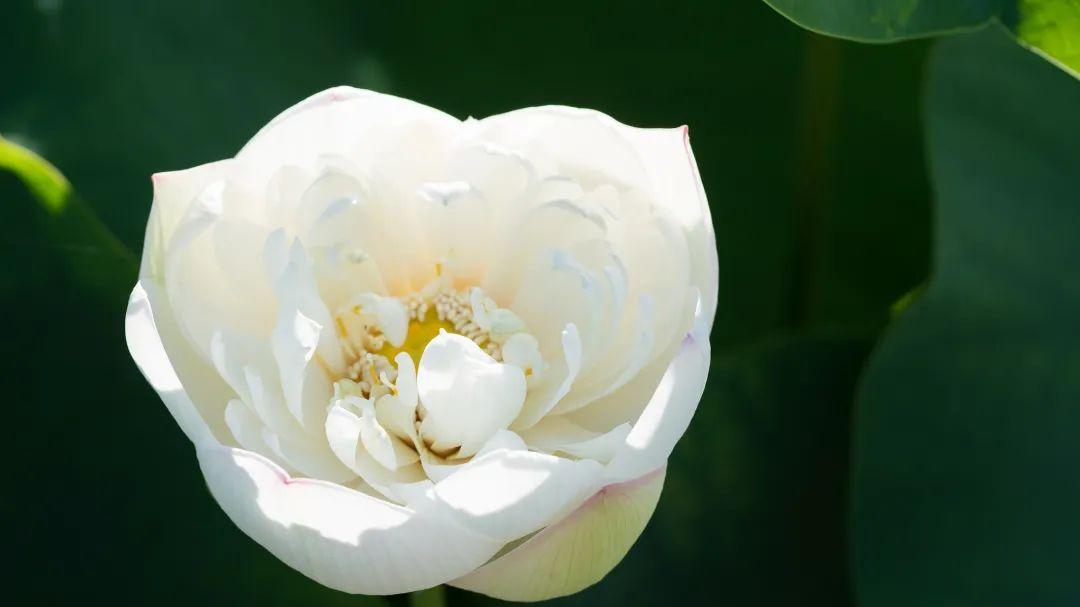 陈道明|干净，是一个人最好的样子