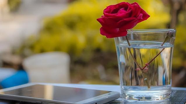 微博|十年不换手机号码的，多半是这三种人，看看你是不是其中之一？