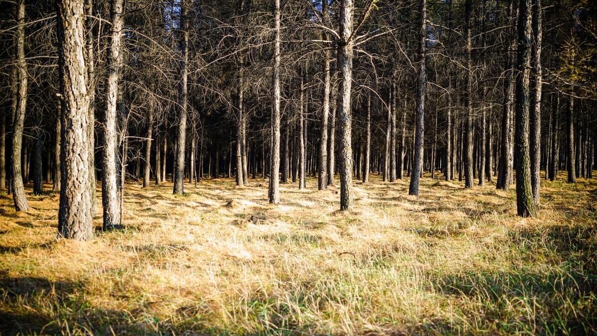 高校|职场中，提防一种“笑面虎”小人，假热心，假帮助，真消耗