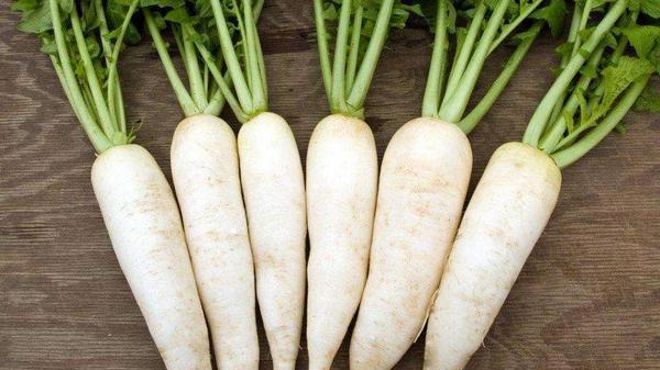 口臭|萝卜可以治疗银屑病吗，银屑病患者可以吃萝卜吗