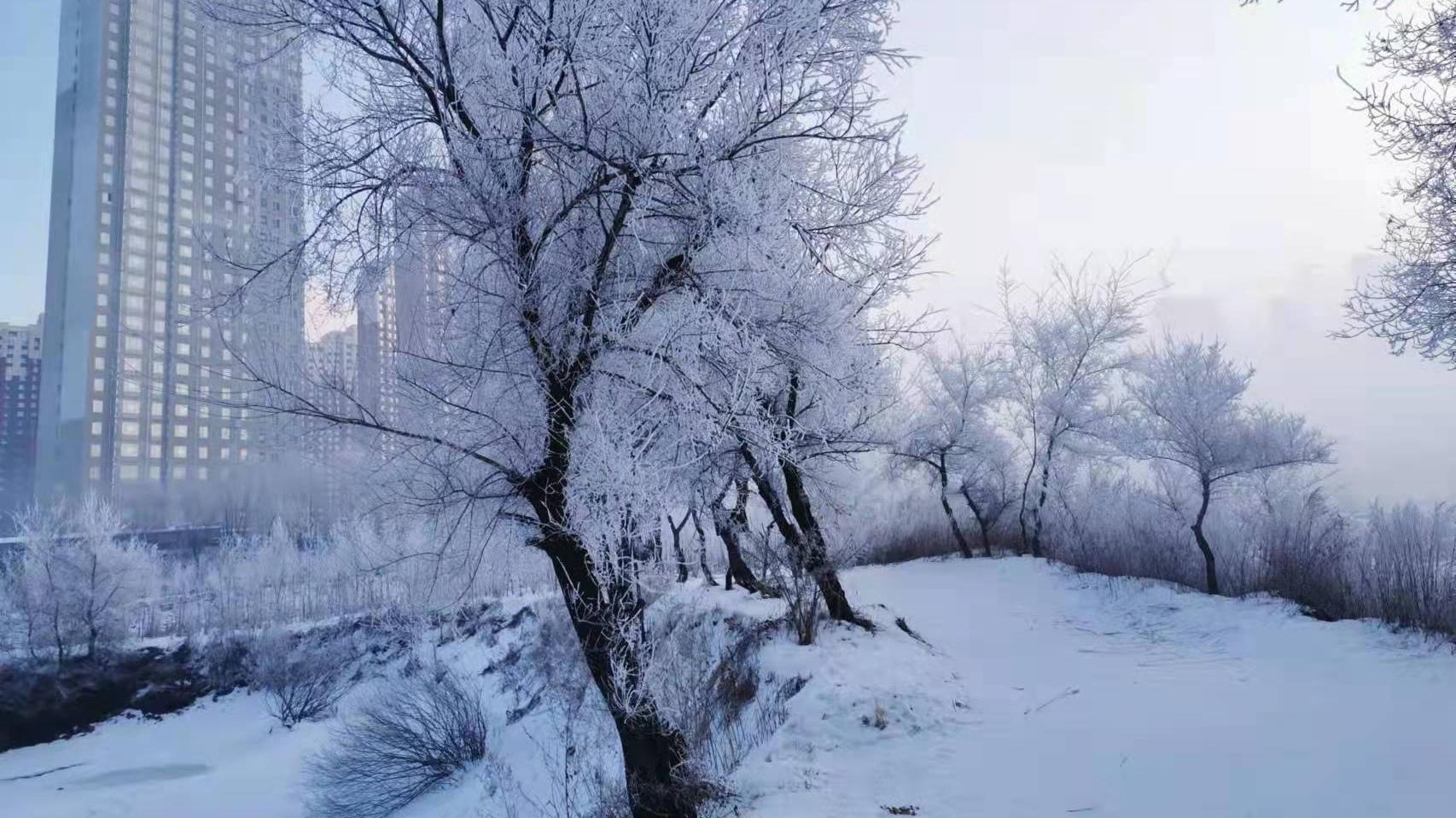 告诉你一些省钱的秘诀