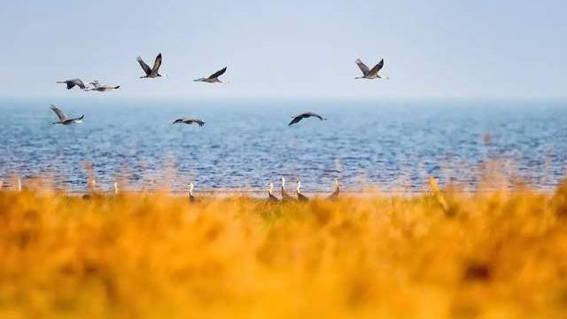 春招|老板陪客户喝酒，我来一句：我替你喝，隔天老板给我发来短信