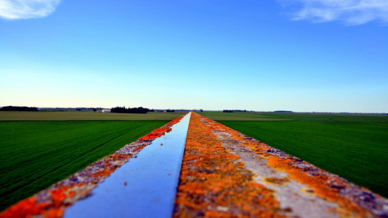 冷知识|职场冷知识：看了瞬间觉得职场不适合自己，别人不服