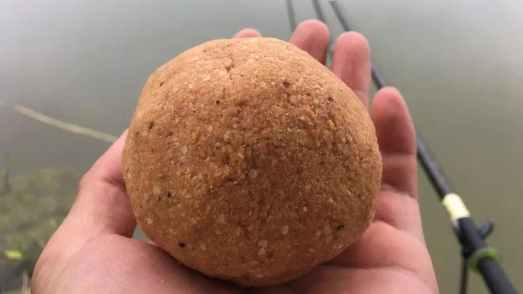 饵料|立春后钓鱼，钓“深”还是钓“浅”？做对了，想不爆护都难