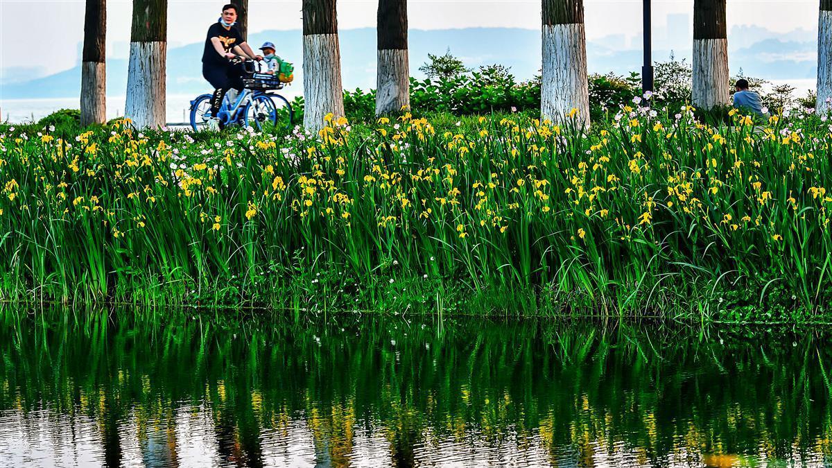 韶关|藏在东湖绿道里的春日美景 湖边倒影美如画