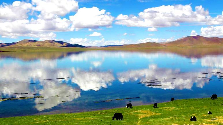 西藏|海拔四千五百米！被誉为云端上的“人间仙境”但是却没有一棵树？