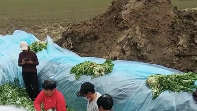 安徽村民腌制酸菜时穿鞋踩踏，官方回应：网传视频情况属实