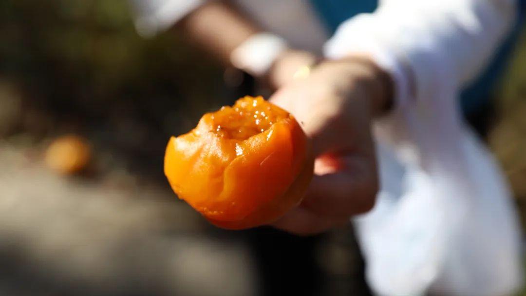 首都医科大学|这个秋天最网红的水果，是它