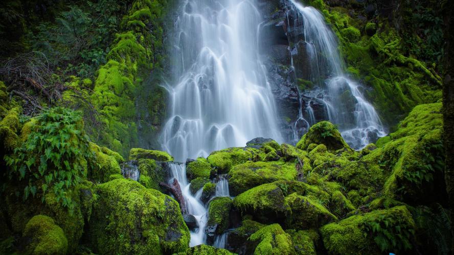 |从八字看哪些人会经常换工作