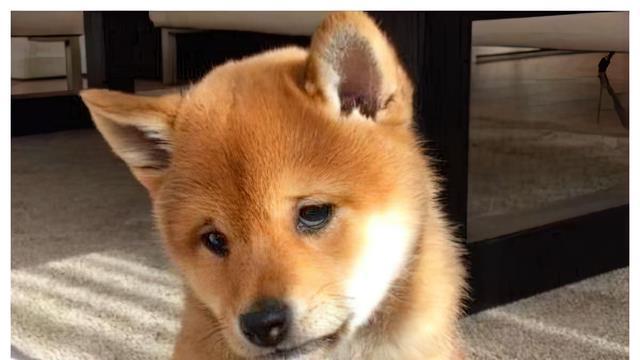 跳槽|“工作满一年，涨薪50元”：有些公司的奇葩程度，超出我想象