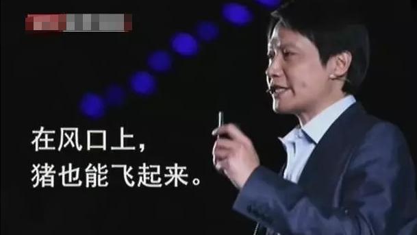 陈金飞|陈金飞：一生中“最爱最恨”的都是刘亦菲，如今杨采钰是他的骄傲