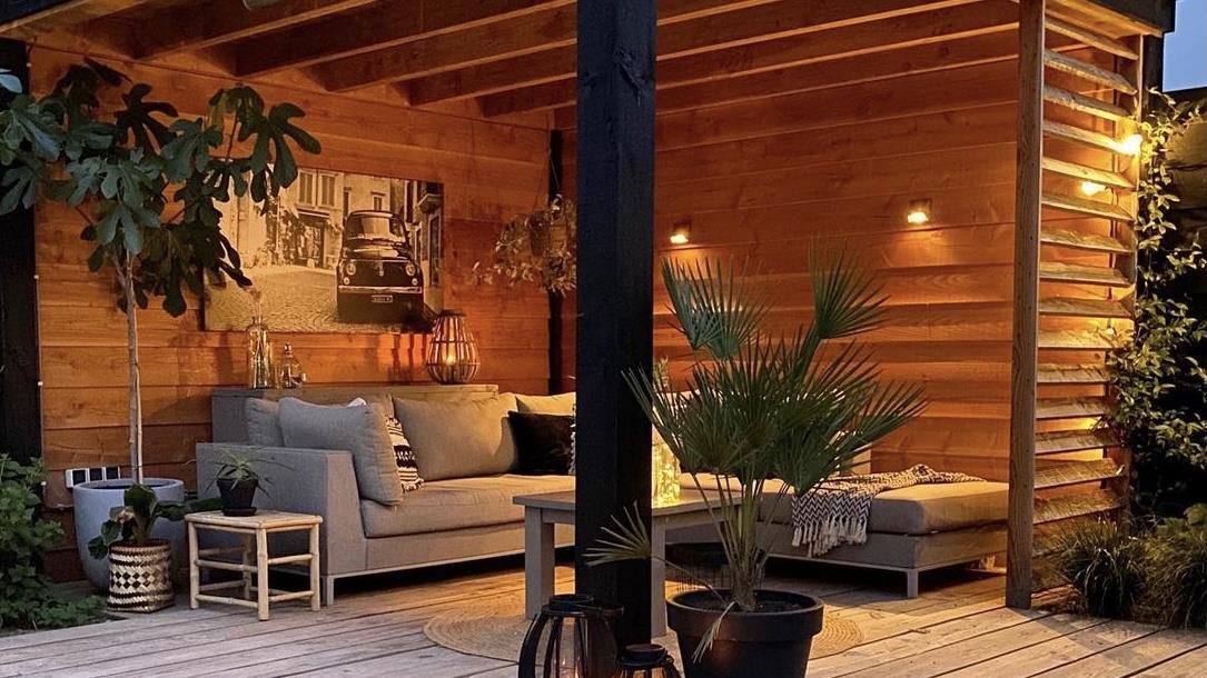 在她家，我看见了岁月静好的模样！门前庭院，绿树成荫，美极了！