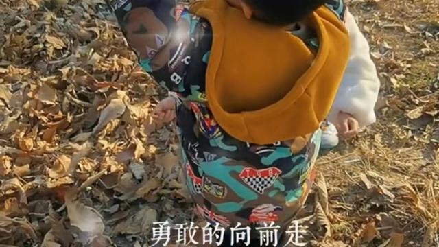 奇奇|永远一条心！田静父亲罕见发声，深情寄语，获网友力赞