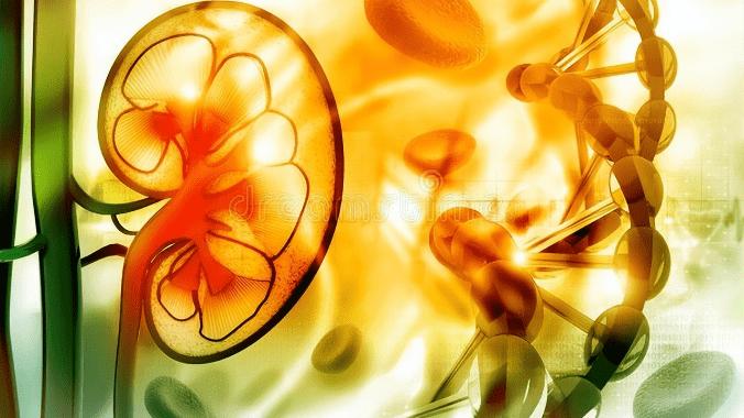 肾病|肾友注意别再耽误时间了，降肌酐最实际的方法是这3个