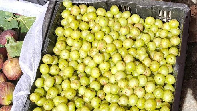 胰腺炎|有意思，会回甘的水果