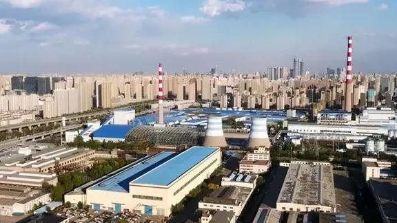 金针菇|为什么大部分东北人到德国之后会有一种“回家”的感觉