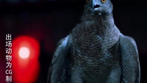 尤娜|“救救那只苍鹰，它快要死了……”一组漫画了解，万物皆有灵