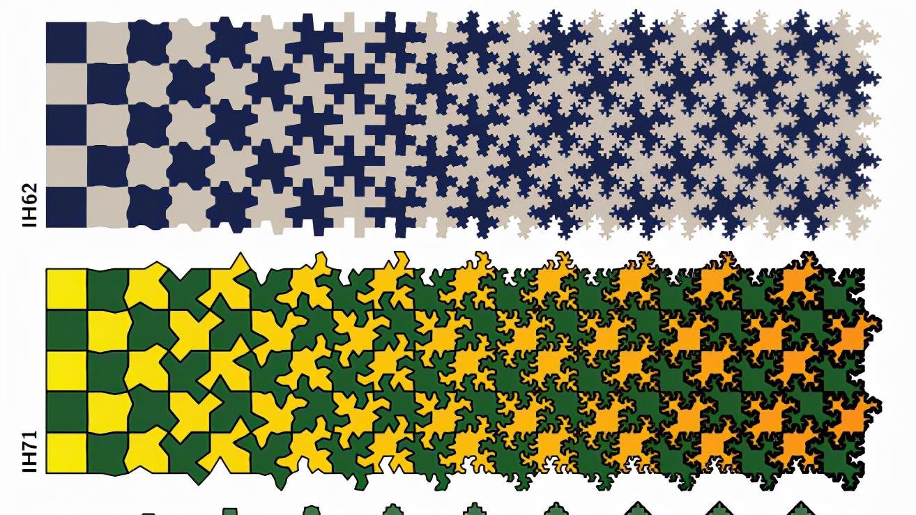 用于镶嵌变形的曲线演化方案