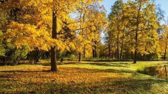 抑郁症|秋分之后，调节心情的时候到了，记得做好这3件事，疏通你的身体