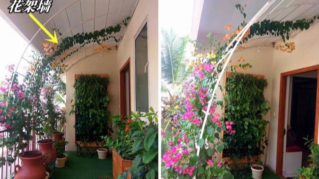 阳台太贵封不起，学国外挂几个卷帘，遮风挡雨效果好，待这还凉快