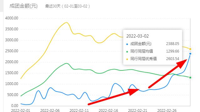 双十一|拼多多店铺运营方案及规划