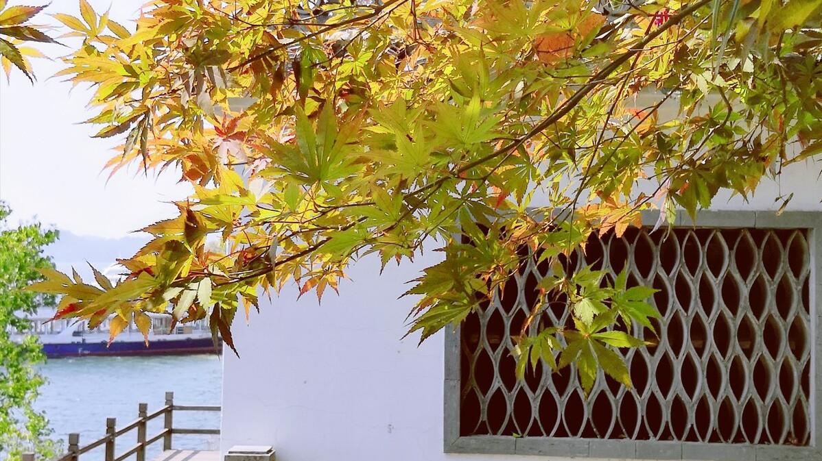 养生|人到中年，最高级的养生，不是睡觉，不是锻炼