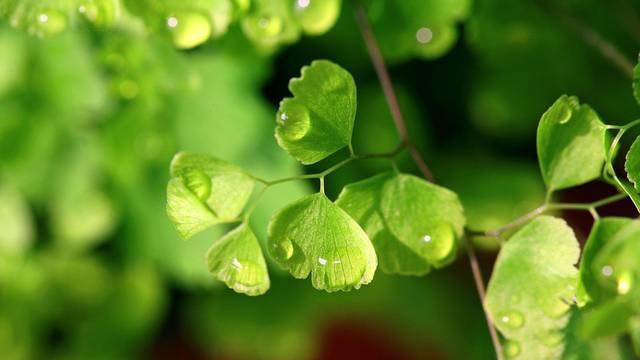 一个家庭过得幸不幸福，看看家里的一个地方就知道，伪装不了