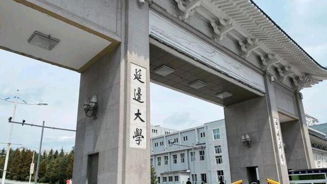 求职|东北211招聘博士，月薪4000已有人报名？真相浮出水面，并非内卷！