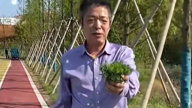 许敏|太恩爱！姚爸称要给妻子许敏做艾米果，网友呼吁姚威回九江定居