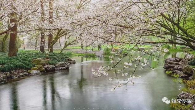 谜之免女郎 | 坠落的未来