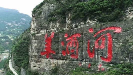 招聘|闻所未闻，茅台酒厂招聘本硕需要参加长跑测试，博士豁免