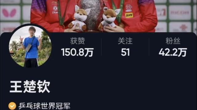 |不是有陈梦和张继科吗？球迷对王楚钦的行程，感觉到困惑