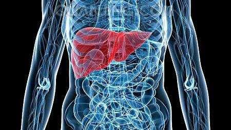 肾炎|肝癌来“敲门”，身体可能会亮起6个“红灯”，可惜很多人错过了