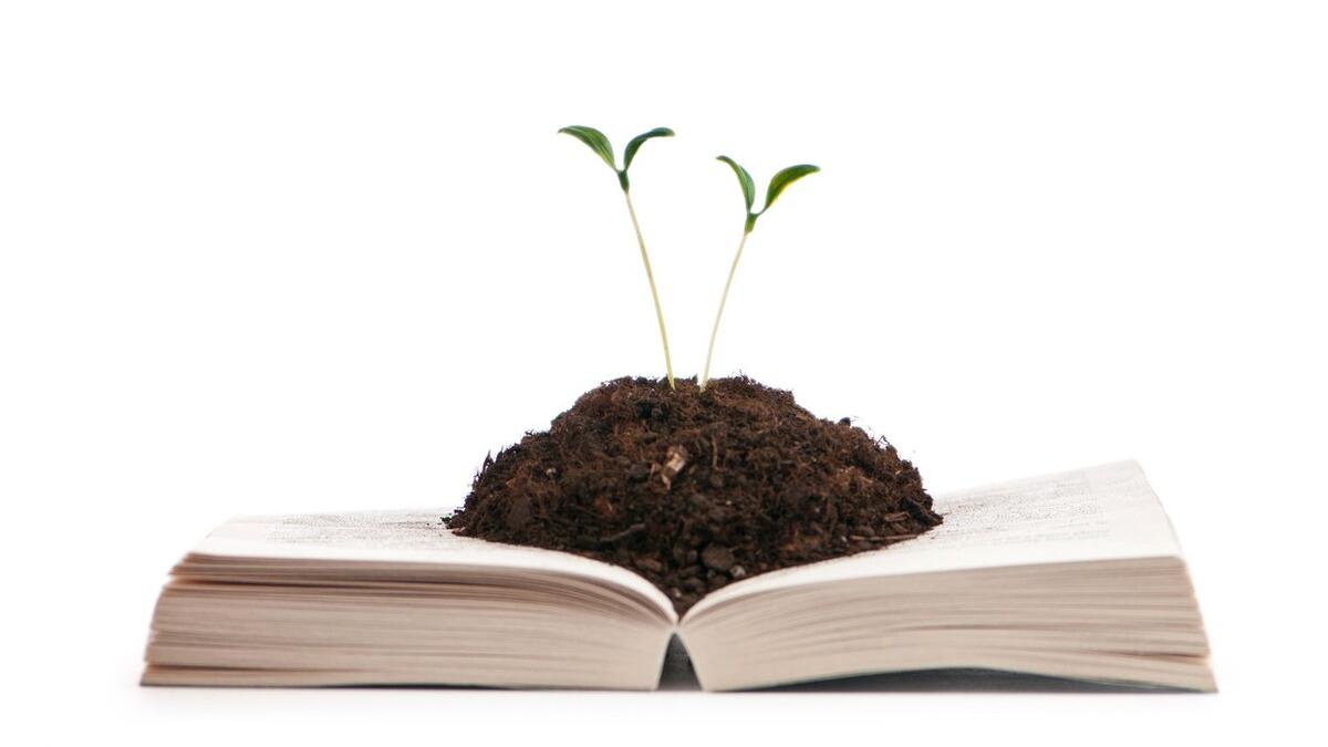 《傲慢与偏见》—“门当户对”的爱情