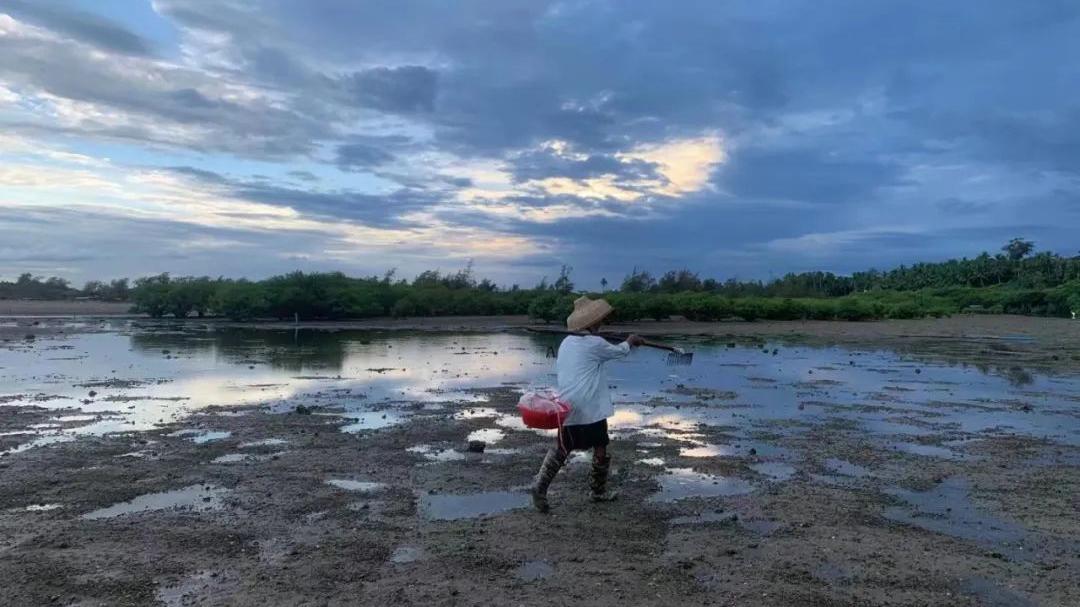 绍兴|帅不过三秒，椰树按下“作死”键