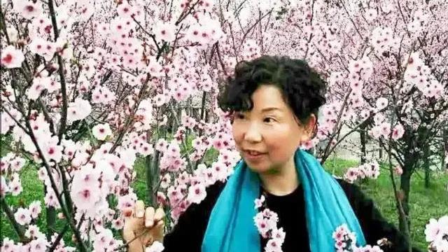 杜新枝|杜新枝认亲前后变化大，直播带货腹背受敌，金果儿为何在直播间哭