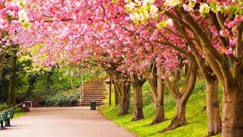 |6月7日 五月初九，十二生肖运势与注意事项