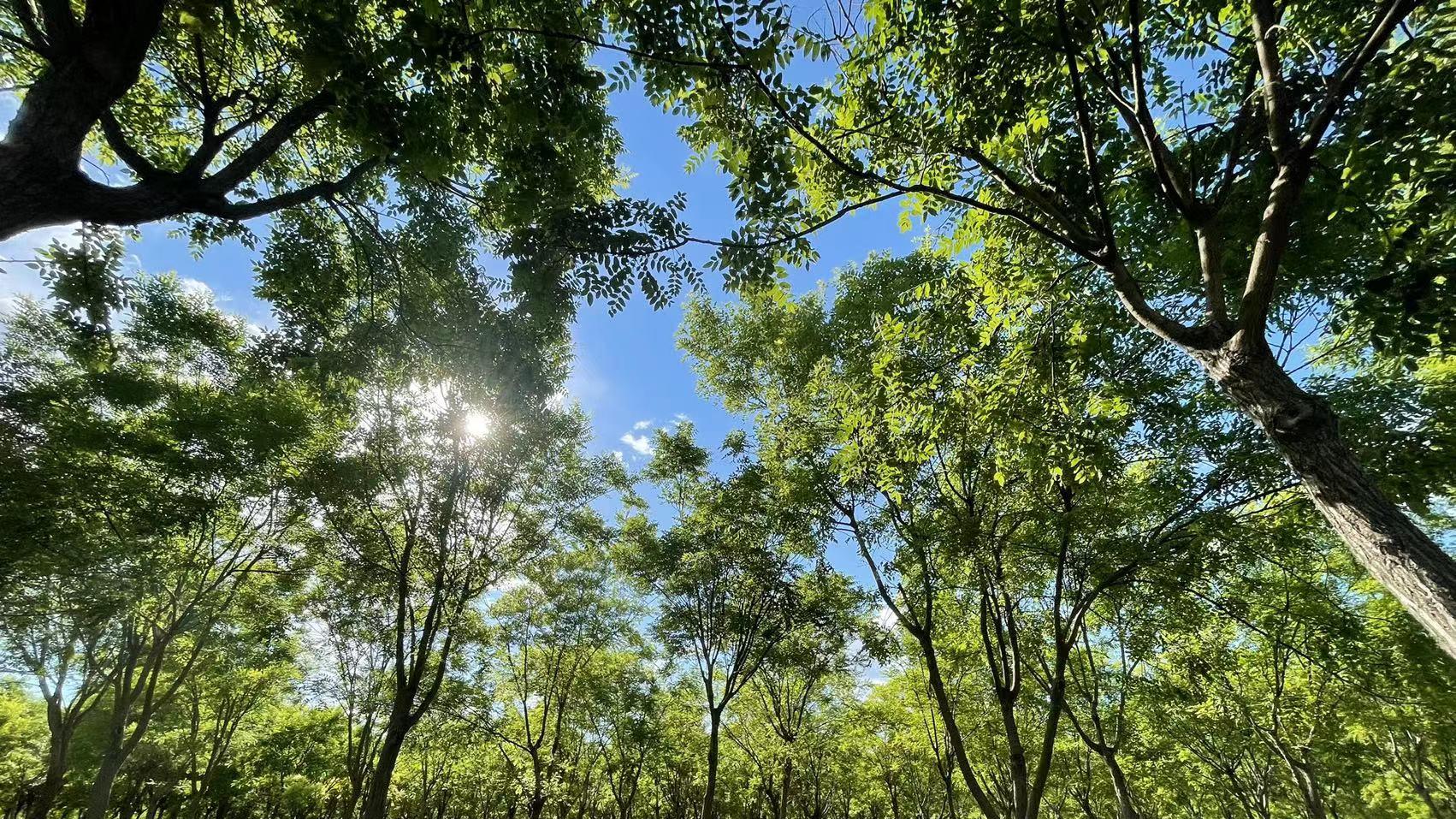 衰老|过了60岁以后，身体衰老加快，这6件事一定要注意