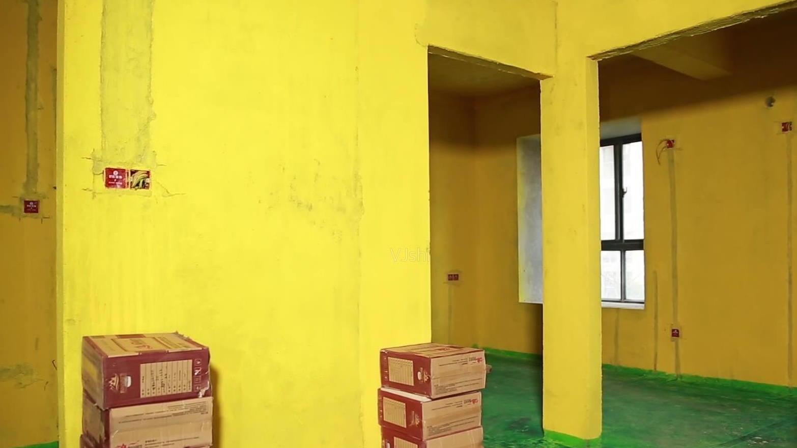 防水涂料，墙固，瓷砖背涂胶，各有什么用途？家装是必须用到吗？